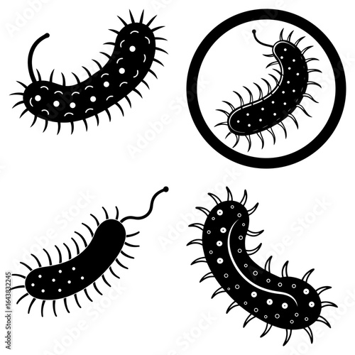 Illustration of four black and white bacteria cells with flagella and spiky projections