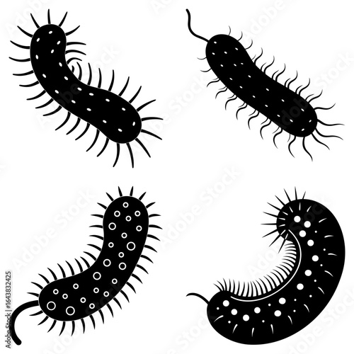 Illustration of four various black bacteria cells with flagella and pili on a white background