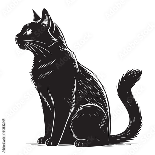 black black cat Silhouette Vector, High Quality Illustration on White Background