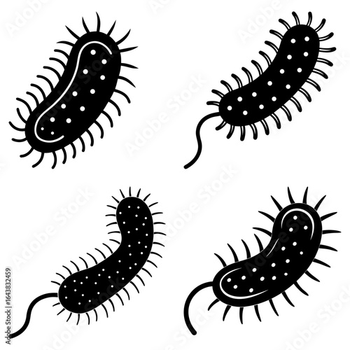Four black and white bacteria cells with flagella and pili shown in a simple graphic style design