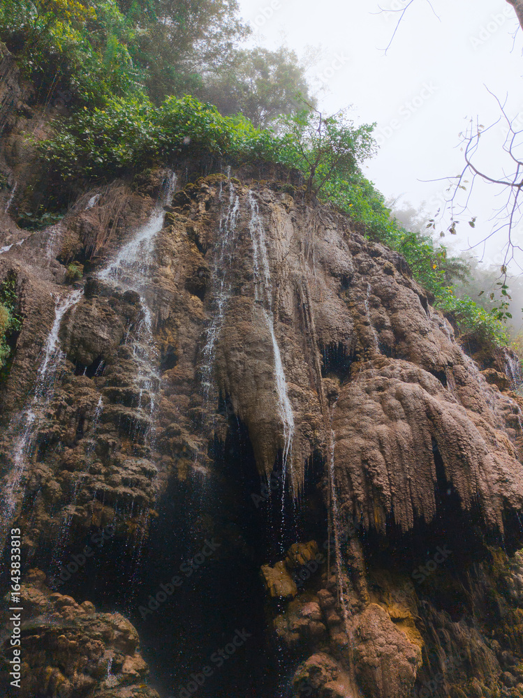 Obraz premium A dramatic, vertical close-up of a series of small water streams cascading down a massive, textured rock face. The rock is a rich brown and is covered in intricate, almost cave-like formations. 