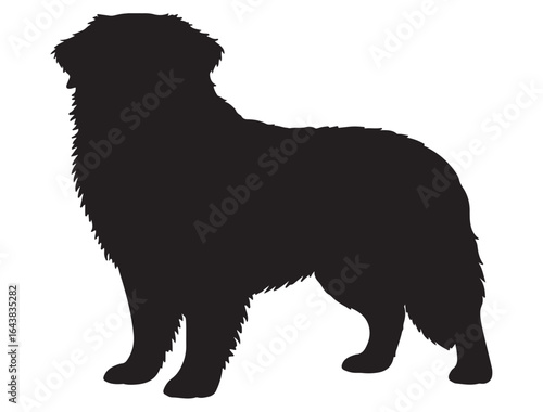  BERNESE MOUNTAIN DOG SILHOUETTE 