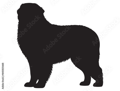  BERNESE MOUNTAIN DOG SILHOUETTE 