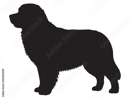  BERNESE MOUNTAIN DOG SILHOUETTE 
