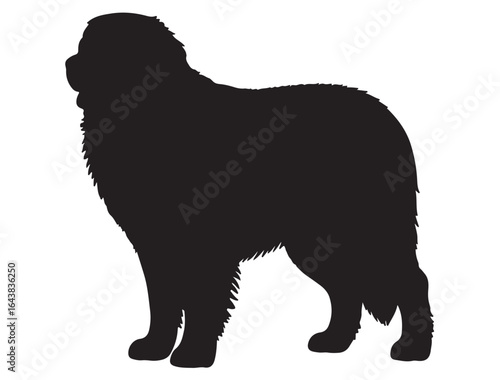  BERNESE MOUNTAIN DOG SILHOUETTE 