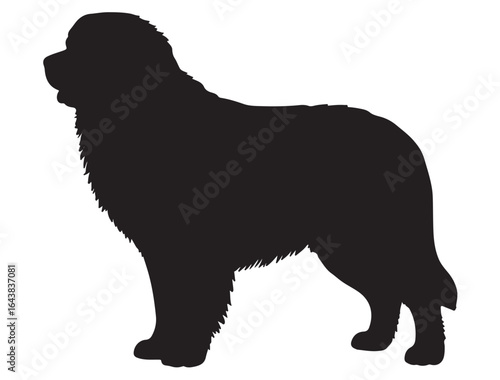  BERNESE MOUNTAIN DOG SILHOUETTE 