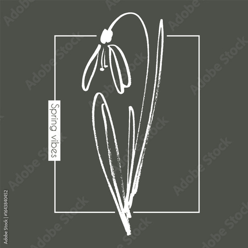 Minimalist white snowdrop flower sketch with spring vibes text in modern frame design for seasonal t-shirt print and nature inspired fashion art