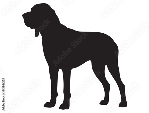 BRACCO ITALIANO DOG SILHOUETTE