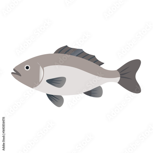 Gray fish illustration on black backdrop for design projects