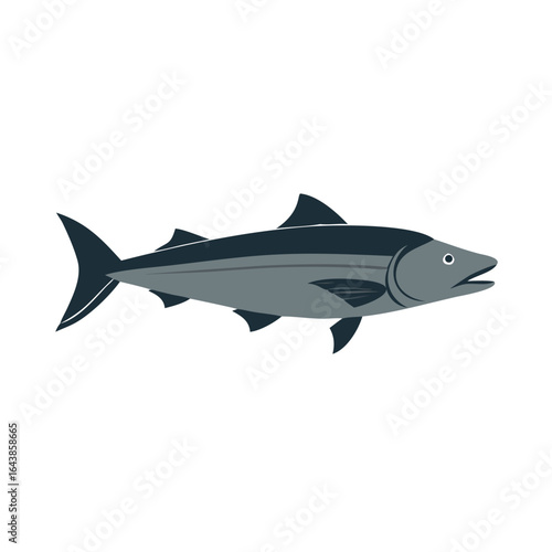 Isolated tuna fish illustration on a black background