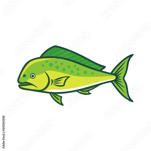 Illustration of a mahi-mahi fish on a black background