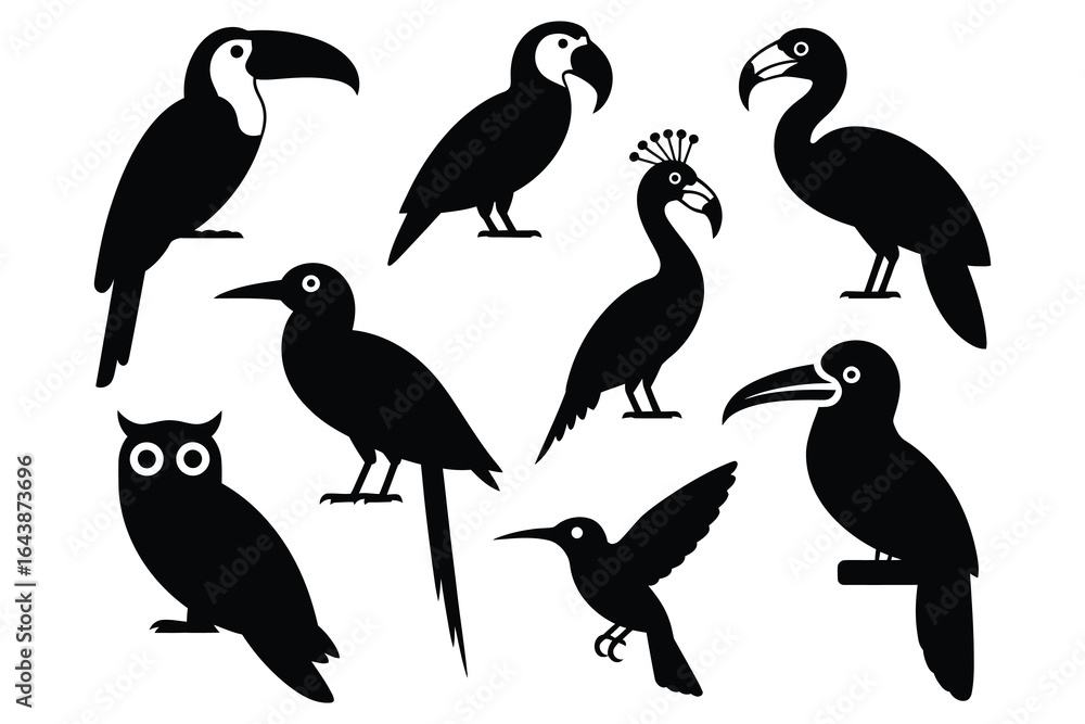 Diverse bird silhouettes toucan parrot Diverse bird silhouettes toucan parrot