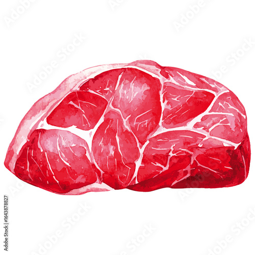 Watercolor Illustration of Fresh Raw Rump Steak Cut