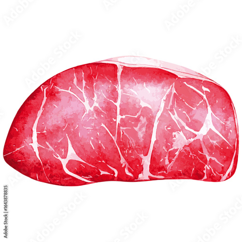 Watercolor Illustration of Fresh Raw Rump Steak Cut
