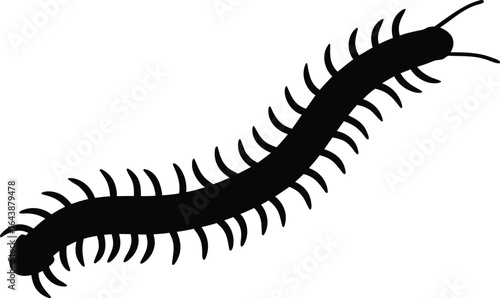 Wallpaper Mural Centipede vector silhouette, centipede black icon Torontodigital.ca
