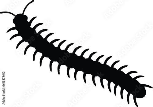 Centipede vector silhouette, centipede black icon