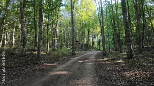 Exploring the enchanting paths of La Fageda d'en Jorda