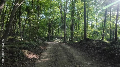 Exploring the enchanting paths of La Fageda d'en Jorda