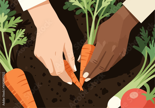 An illustration of two diverse hands pulling fresh carrots from the rich soil of a vegetable patch.