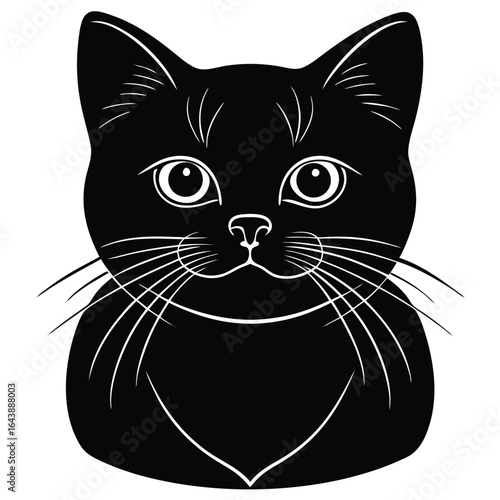 brirish shorthair vector