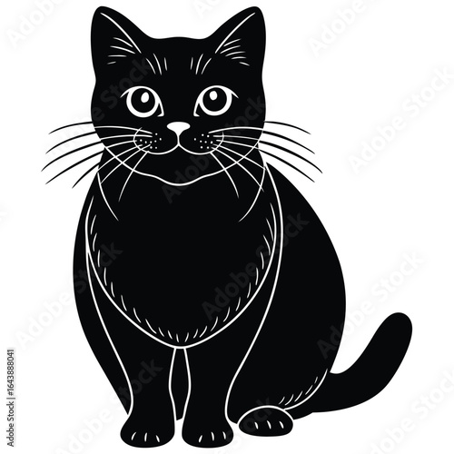 brirish shorthair vector