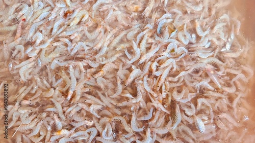 Small shrimps, Shrimp Paste 