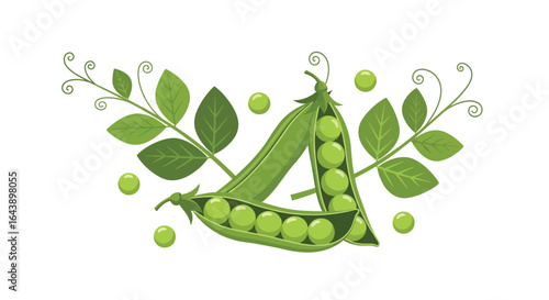 Fresh green peas illustration healthy food vegetable design