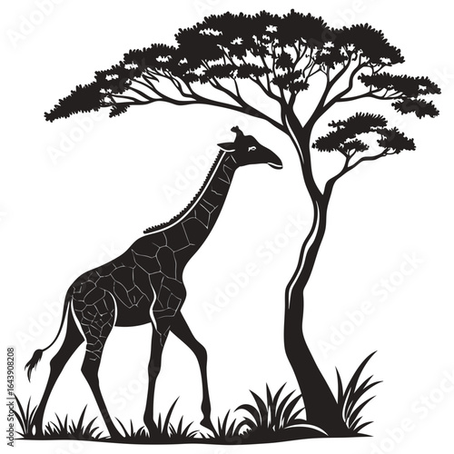 giraffe