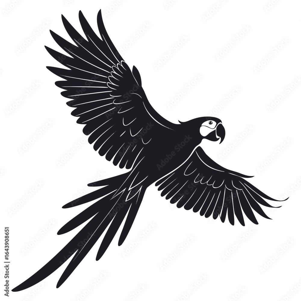 Obraz premium eagle in the sky