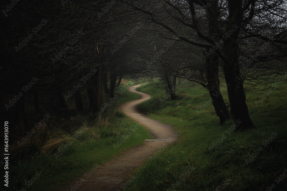 Fototapeta premium winding forest path in dark moody woodland with green grass and bare trees creating mysterious atmosphere