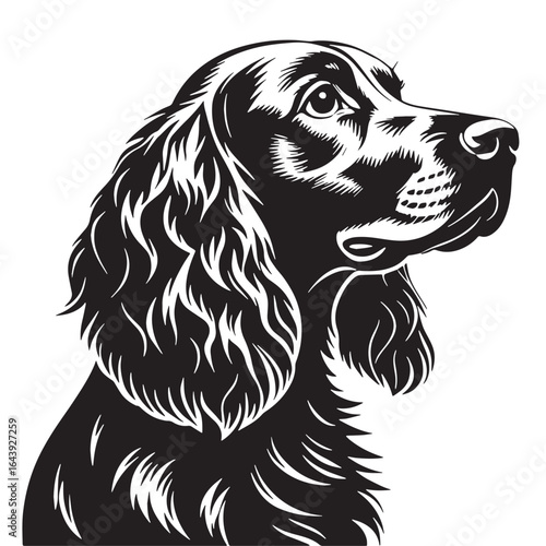 black cocker Silhouette Vector, High Quality Illustration on White Background