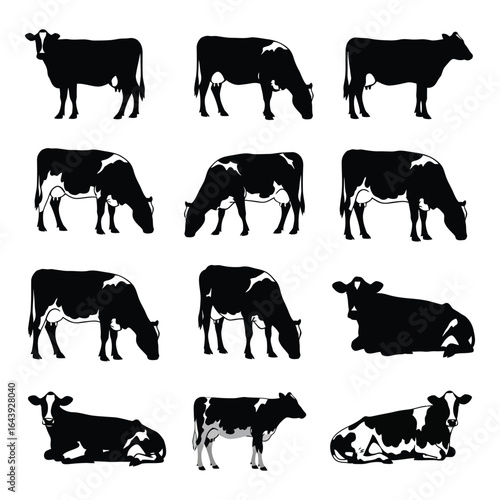 Vector art of set of silhouette cows in different poses isolated on white background