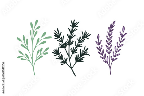 Green and purple herbal branches drawing