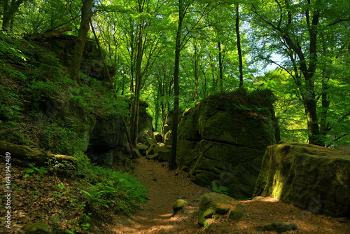 Ein Wanderweg führt durch einen Laubwald mit frischen Grün und der Weg wird gesäumt von den typischen Sandsteinfelsen des Müllerthal in Luxemburg.