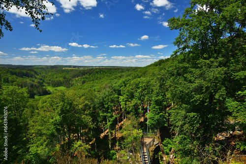 Panorama Blick über den idyllischen  grünen Wald des Müllerthal in Luxemburg mit einem Aussichtspunkt und einer Fahne bei blauem Himmel sowie vereinzelten kleinen Wolken