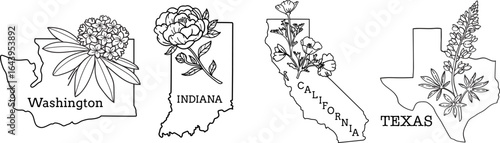 Maps with flower symbols of States Washington, Indiana, California, Texas. Vector line art