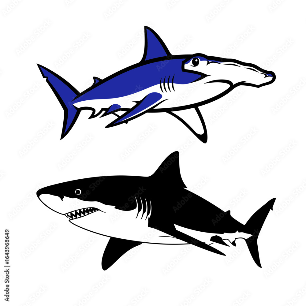Fototapeta premium Two Stylized Shark Illustrations Hammerhead and Great White Silhouettes