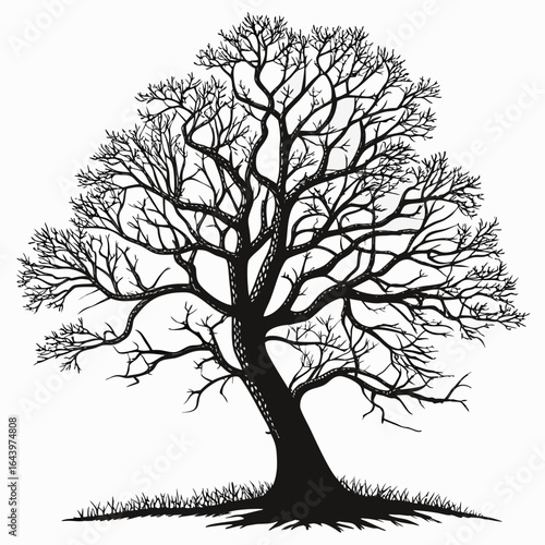 tree silhouette vector