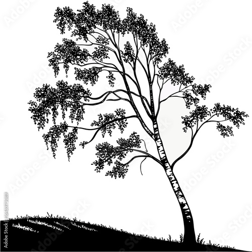 silhouettes of trees
