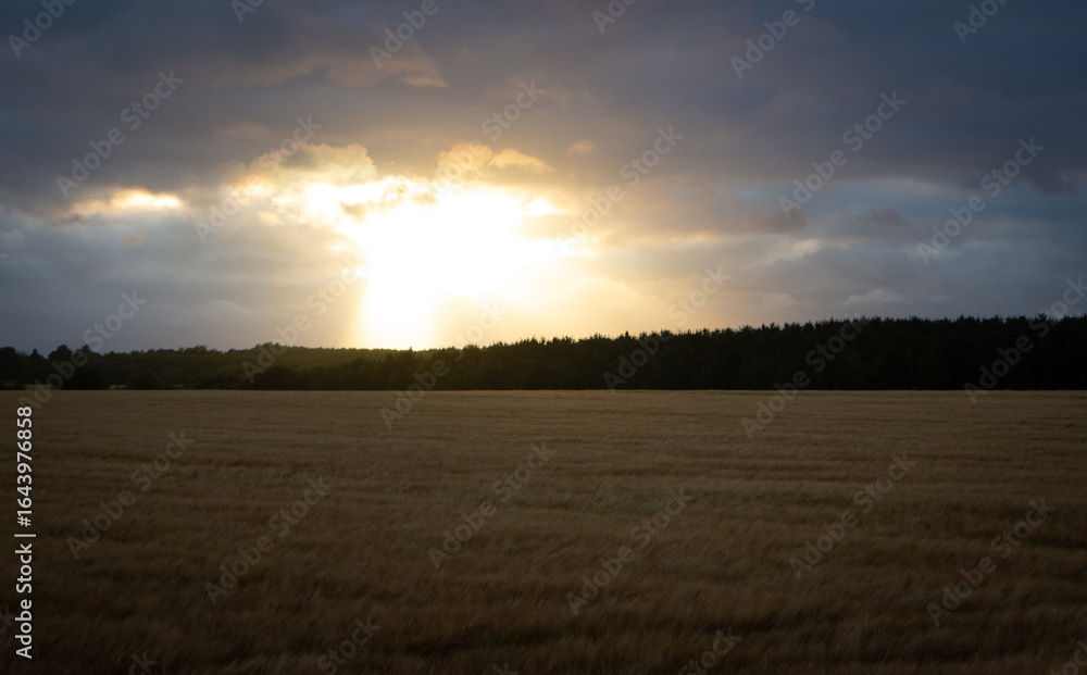 Coucher en champs Coucher en champs