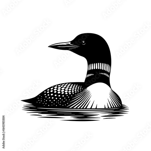 Engraved illustration of a common loon isolated on white background