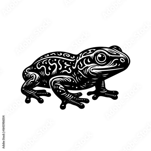 Detailed illustration of a frog isolated on white background