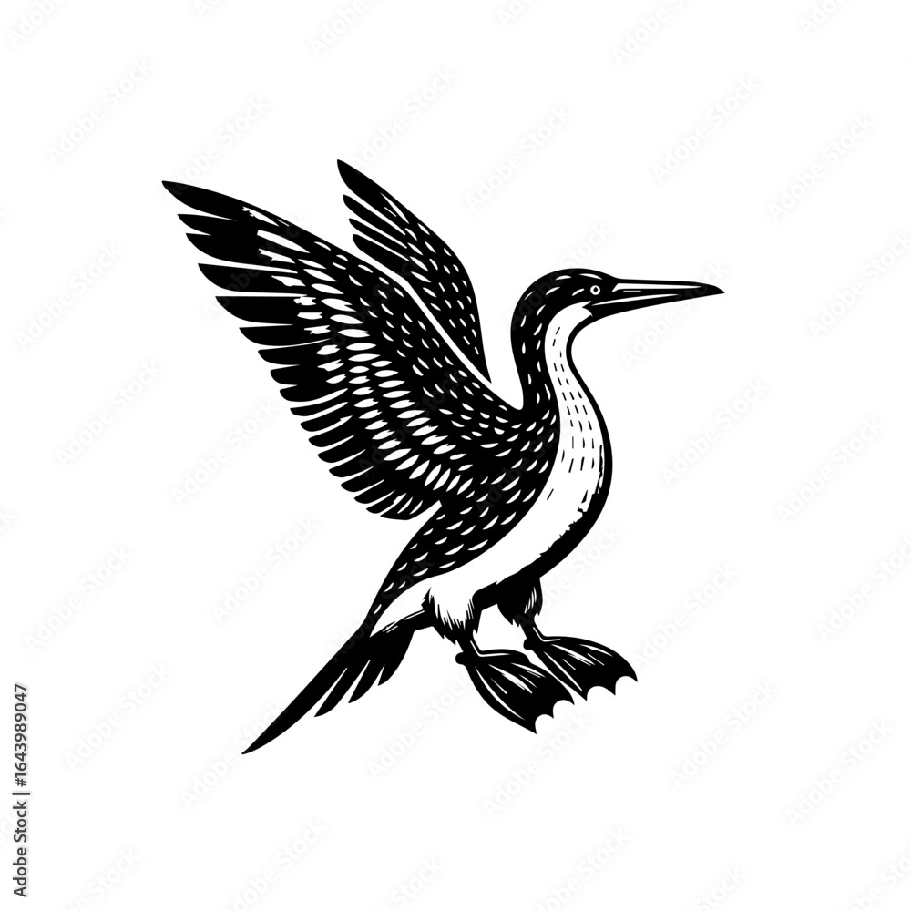 Fototapeta premium Illustration of a cormorant bird with its wings spread isolated on white background