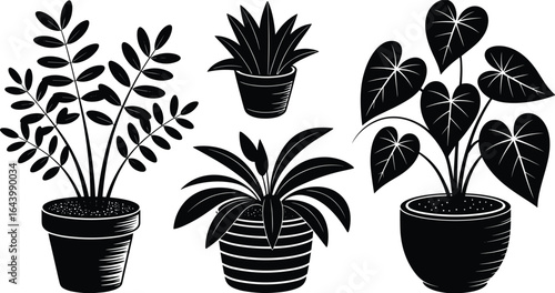 Potted plant silhouette, botanical vector, indoor greenery decor, tropical houseplants, black and white foliage art, nature design, minimalist home illustration
