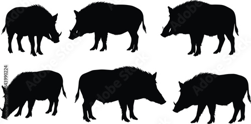 Wild boar silhouettes, animal poses, black and white vector, wildlife illustration, nature graphic, hunting theme, forest creature, editable design