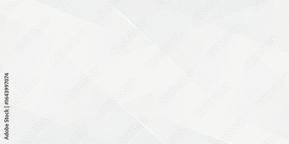 Obraz premium Abstract white and gray background. smooth abstract background, blurred pattern. Light pale vector background.