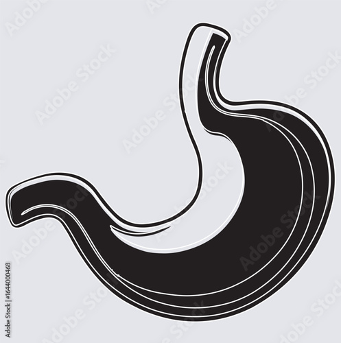 image of human stomach silhouette vector art illustration