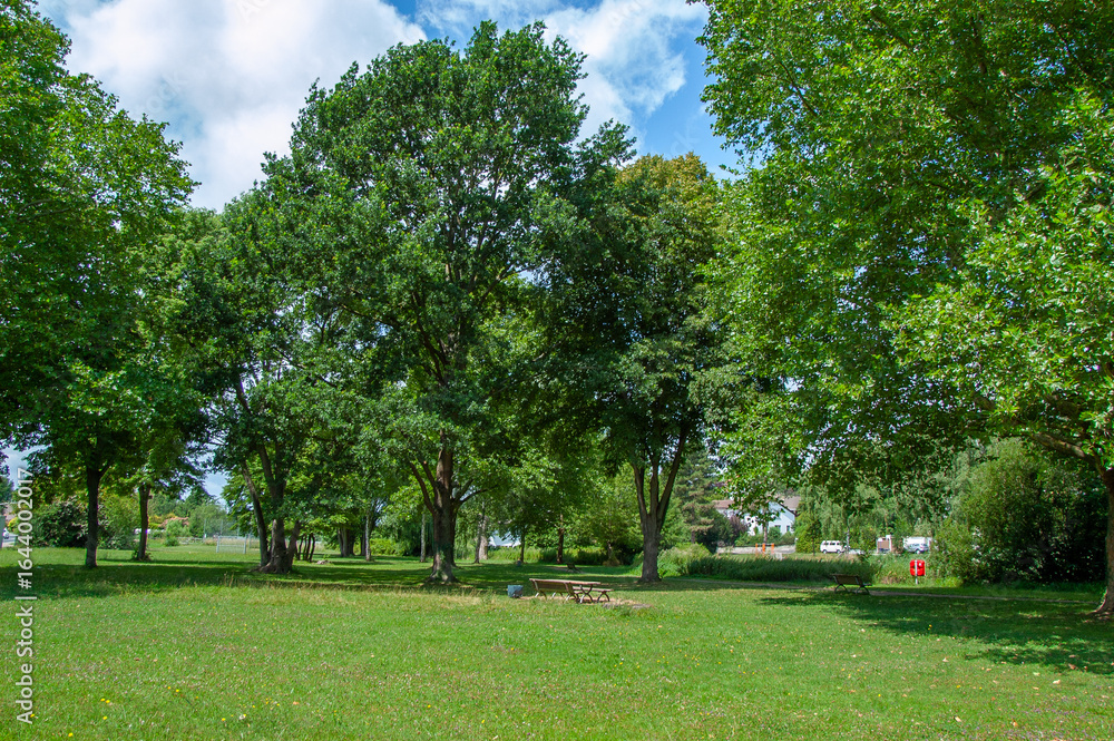 Fototapeta premium Park, Himmel und Wolken