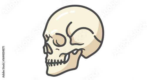 Cartoon illustration of a human skull, depicted in a simplified, graphic style, viewed from the side.