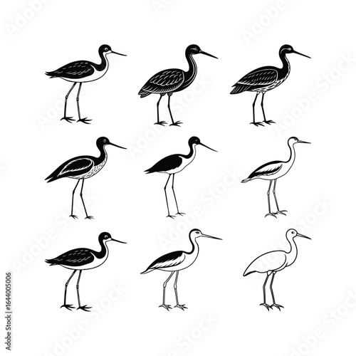 Black and white silhouette wading bird